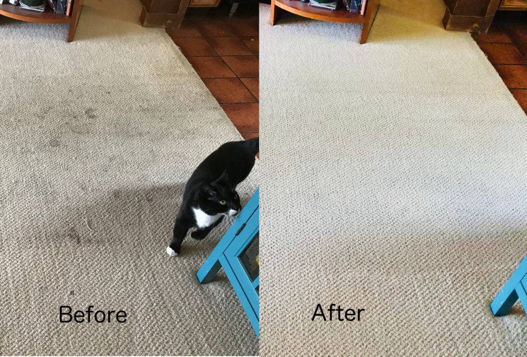 Before and after carpet cleaning - high traffic area