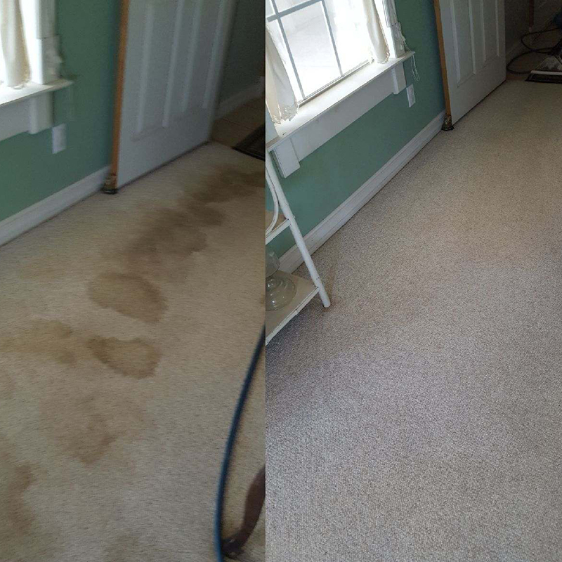 Before and after carpet cleaning - hallway