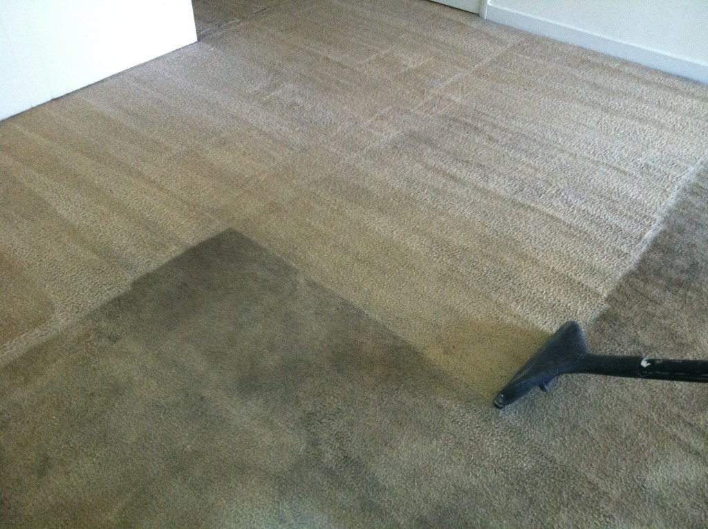 Before and after carpet cleaning - deep extraction